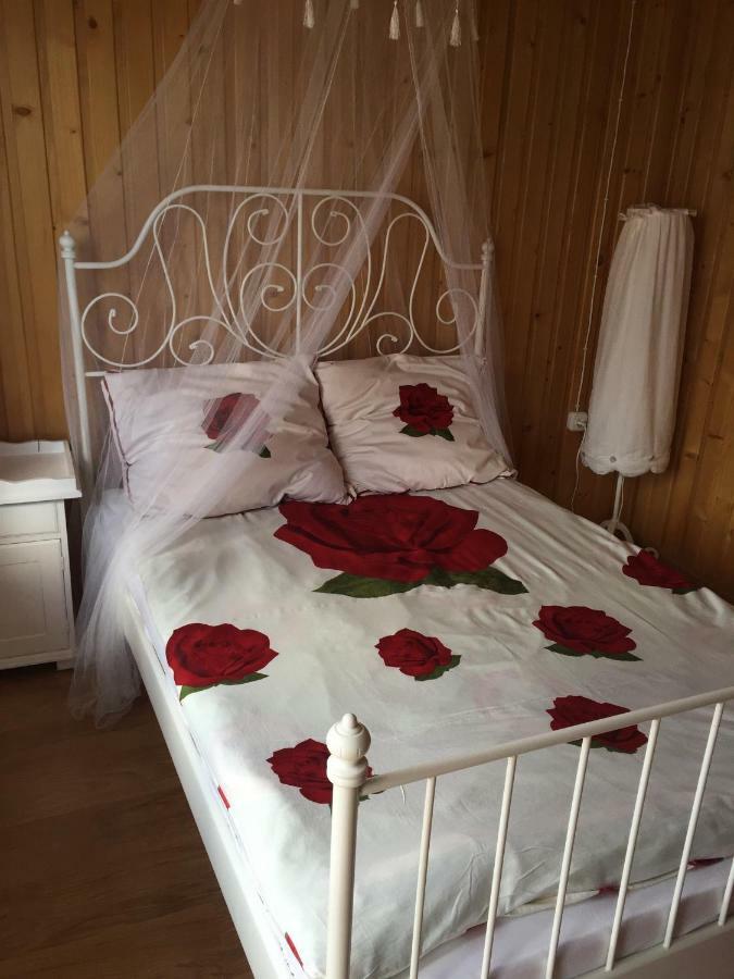 Apartmán Pokoje U Eli Brzegi  Exteriér fotografie
